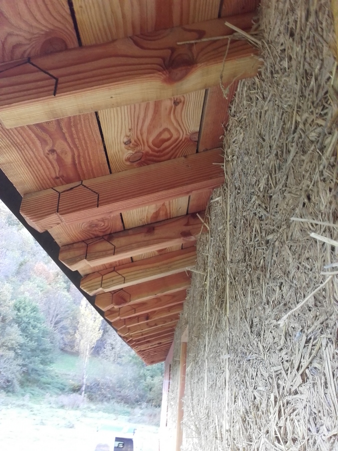 20161030 153615 Copier